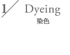 1/ Dyeing